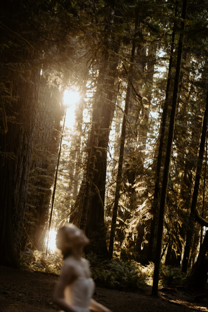 bride dancing in the woods at lake crescent
